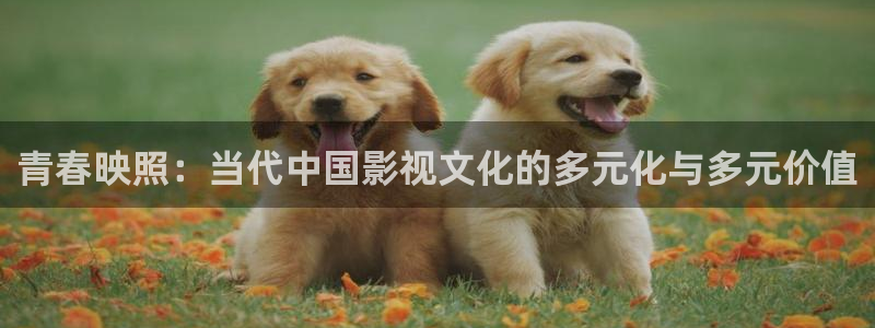 昆山保利影院今日电影：青春映照：当代中国影视文化的多元化与多元价值
