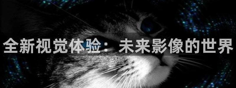 保利国际影城今日排片表